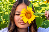 Sunflowers-M&K-08