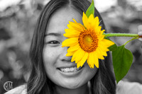 Sunflowers-M&K-11