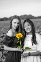 Sunflowers-M&K-17