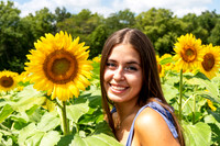 Sunflower6