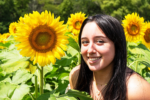 Sunflower5
