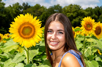 Sunflower7