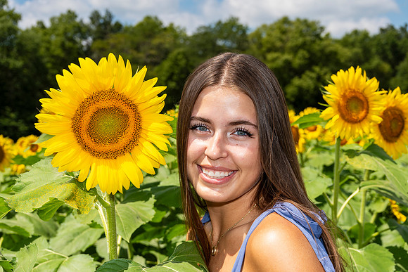 Sunflower7
