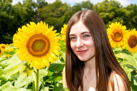 Sunflower9