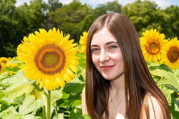 Sunflower9