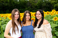 Sunflower10