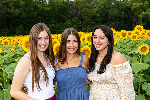 Sunflower10