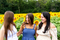 Sunflower11