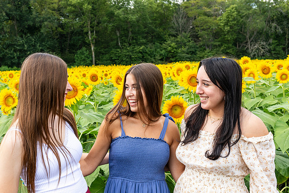 Sunflower11
