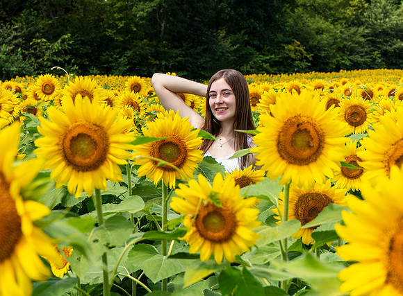 Sunflower13