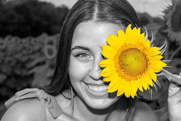 Sunflower16Hybrid