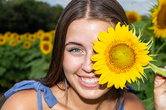 Sunflower16