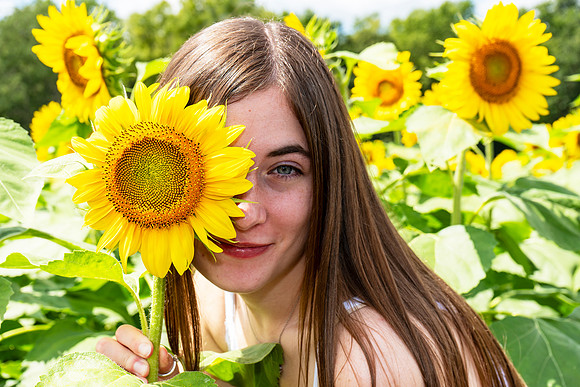 Sunflower17