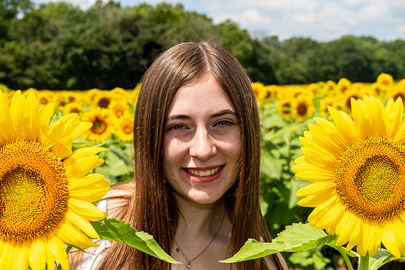 Sunflower20