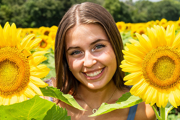 Sunflower22