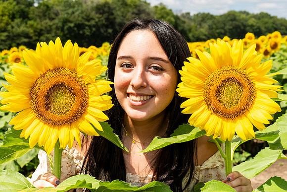 Sunflower21