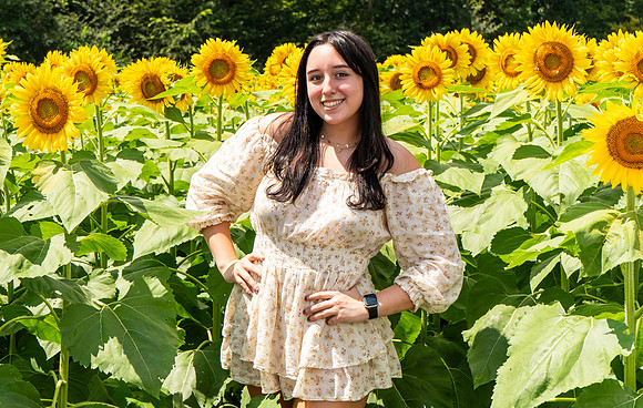 Sunflower26