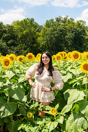 Sunflower25
