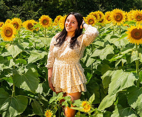 Sunflower28