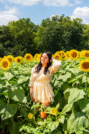 Sunflower27
