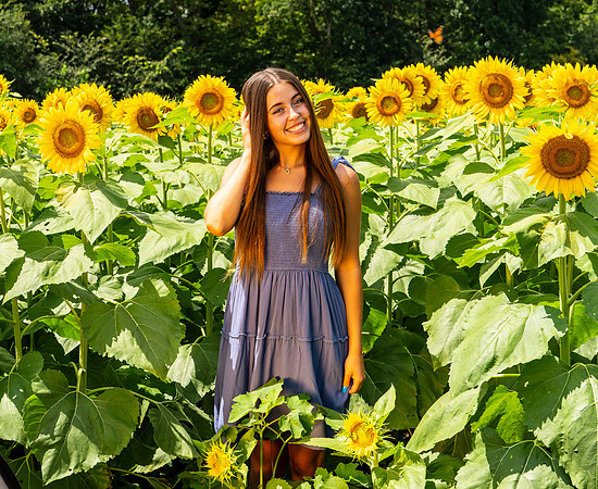 Sunflower30