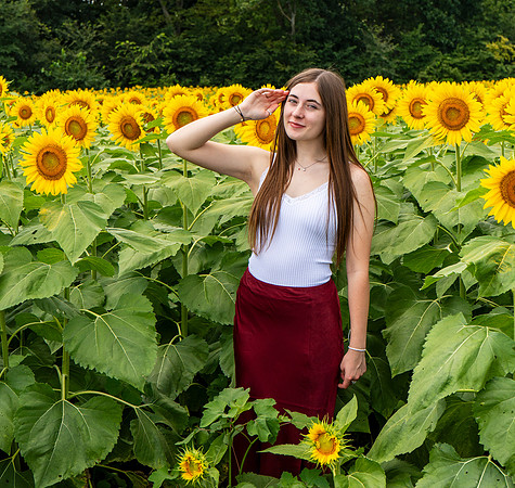 Sunflower32