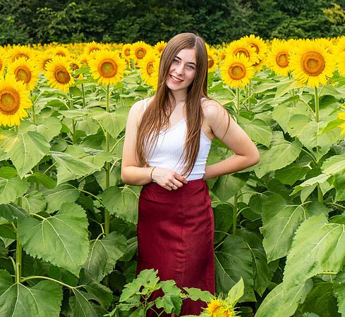 Sunflower34