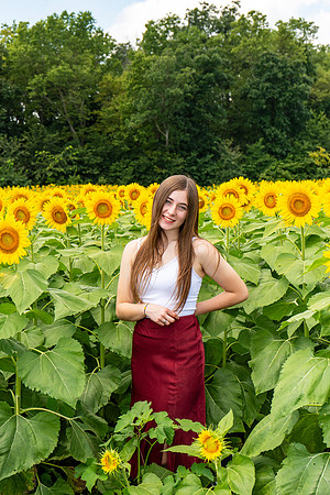 Sunflower33