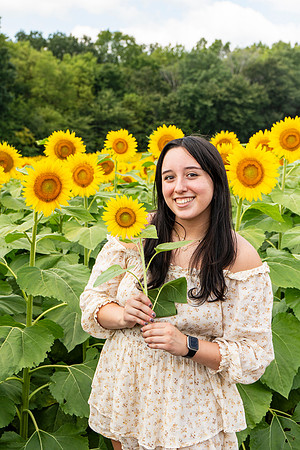 Sunflower35
