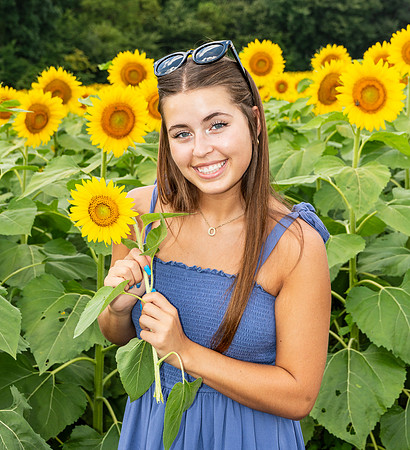 Sunflower38