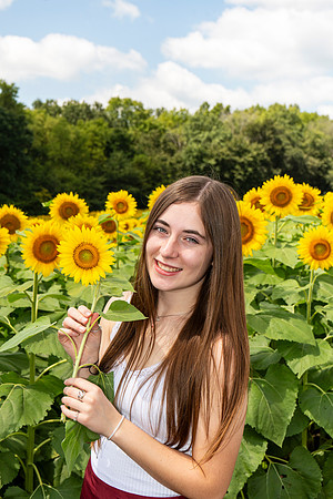 Sunflower39