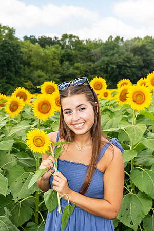 Sunflower37