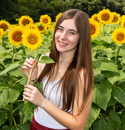 Sunflower40