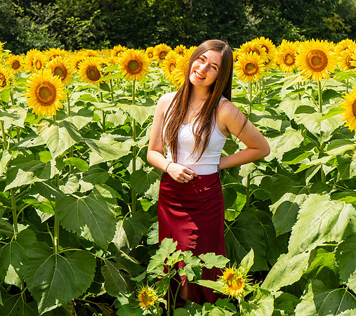 Sunflower43