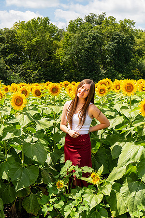 Sunflower42