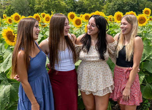 Sunflower45