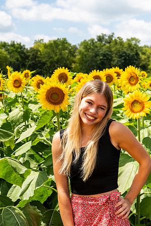 Sunflower47