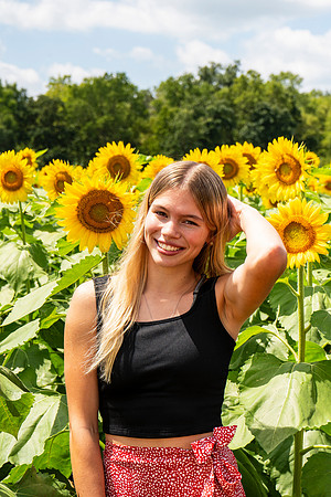 Sunflower48