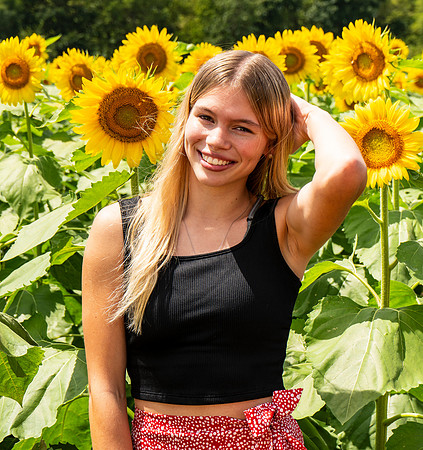 Sunflower49