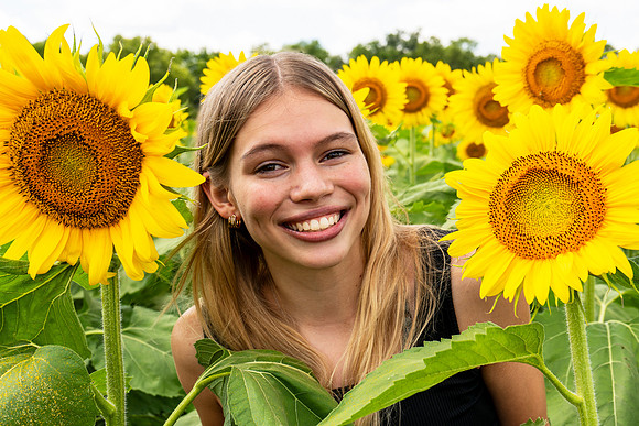 Sunflower51