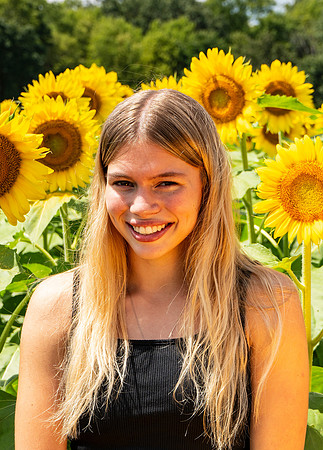Sunflower55
