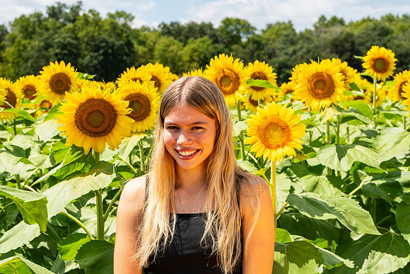 Sunflower54