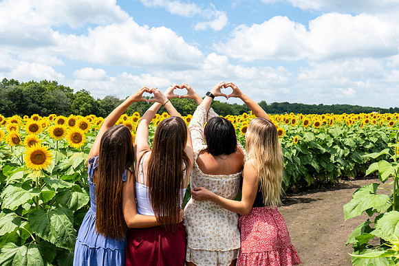 Sunflower58