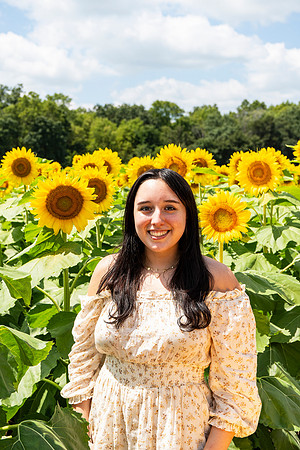 Sunflower61
