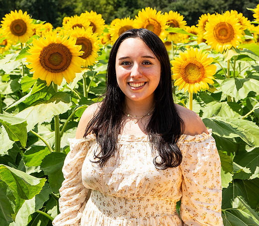 Sunflower62