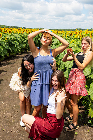 Sunflower59