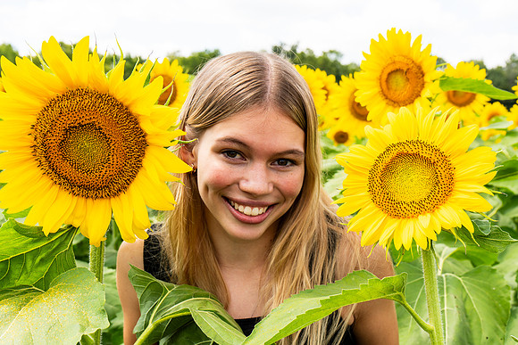 Sunflower63