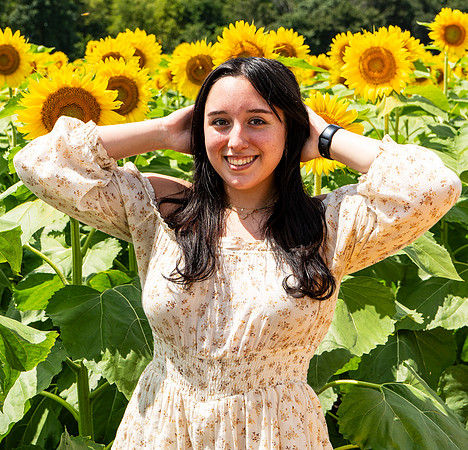 Sunflower65
