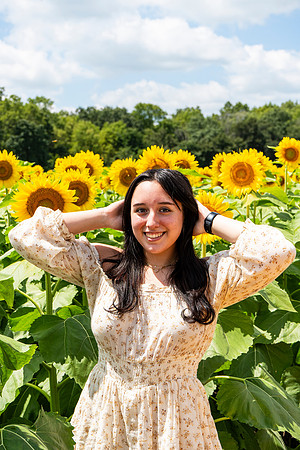 Sunflower64