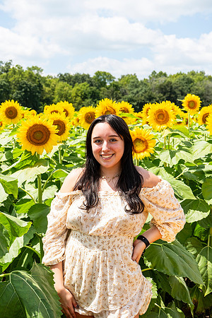 Sunflower66